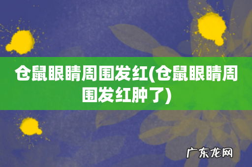仓鼠眼睛周围发红肿了 仓鼠眼睛周围发红