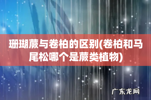 卷柏和马尾松哪个是蕨类植物 珊瑚蕨与卷柏的区别