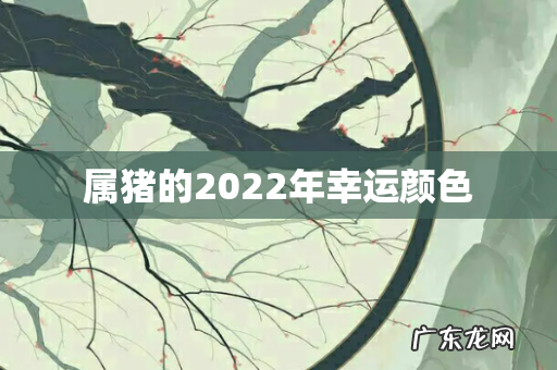 属猪的2022年幸运颜色