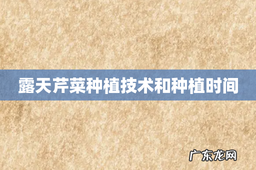 露天芹菜种植技术和种植时间