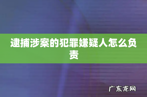 逮捕涉案的犯罪嫌疑人怎么负责