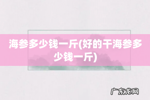 好的干海参多少钱一斤 海参多少钱一斤