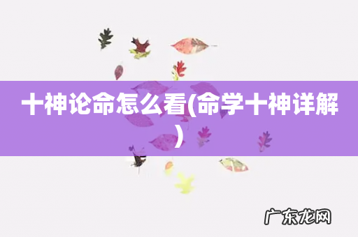 命学十神详解 十神论命怎么看
