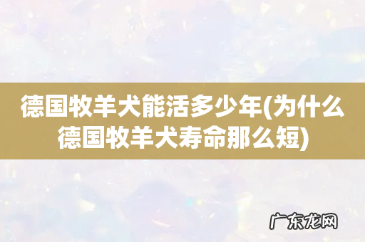 为什么德国牧羊犬寿命那么短 德国牧羊犬能活多少年