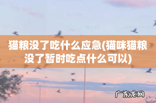 猫咪猫粮没了暂时吃点什么可以 猫粮没了吃什么应急