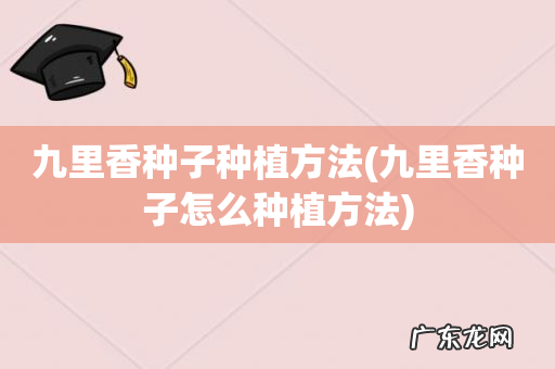 九里香种子怎么种植方法 九里香种子种植方法