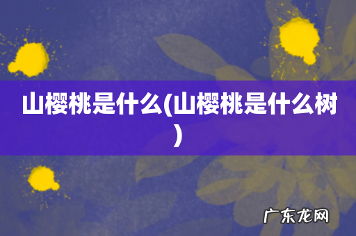 山樱桃是什么树 山樱桃是什么