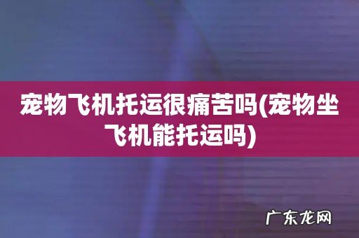 宠物坐飞机能托运吗 宠物飞机托运很痛苦吗
