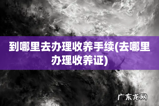 去哪里办理收养证 到哪里去办理收养手续
