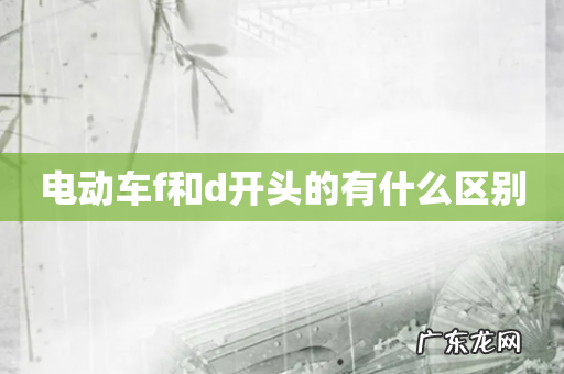 电动车f和d开头的有什么区别