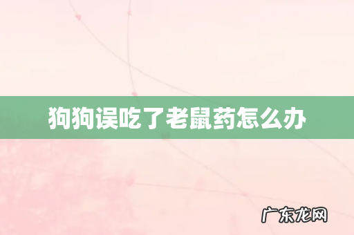 狗狗误吃了老鼠药怎么办