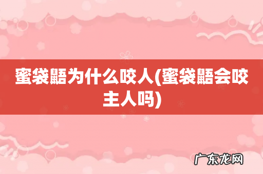 蜜袋鼯会咬主人吗 蜜袋鼯为什么咬人