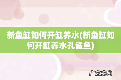 新鱼缸如何开缸养水孔雀鱼 新鱼缸如何开缸养水