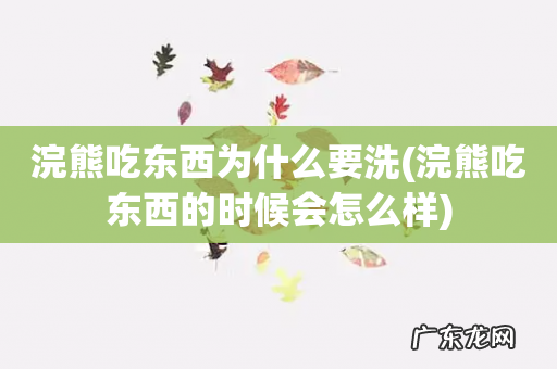 浣熊吃东西的时候会怎么样 浣熊吃东西为什么要洗
