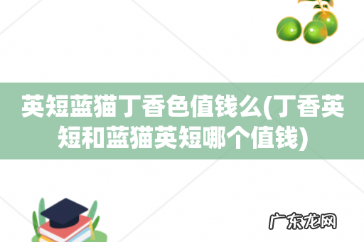 丁香英短和蓝猫英短哪个值钱 英短蓝猫丁香色值钱么