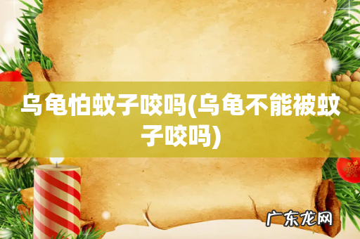 乌龟不能被蚊子咬吗 乌龟怕蚊子咬吗