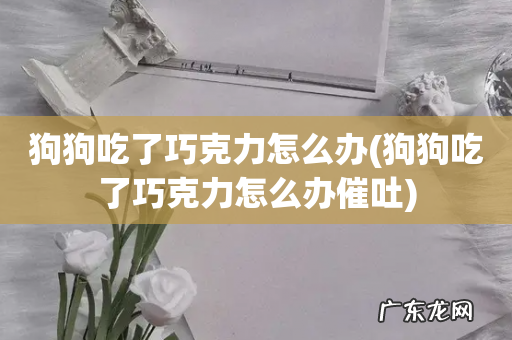 狗狗吃了巧克力怎么办催吐 狗狗吃了巧克力怎么办