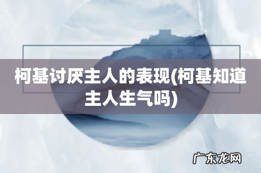柯基知道主人生气吗 柯基讨厌主人的表现