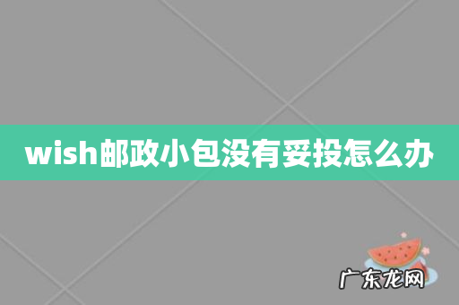wish邮政小包没有妥投怎么办