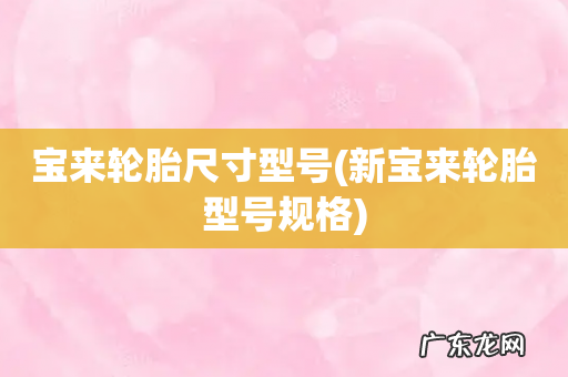 新宝来轮胎型号规格 宝来轮胎尺寸型号