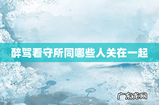 醉驾看守所同哪些人关在一起
