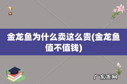 金龙鱼值不值钱 金龙鱼为什么卖这么贵