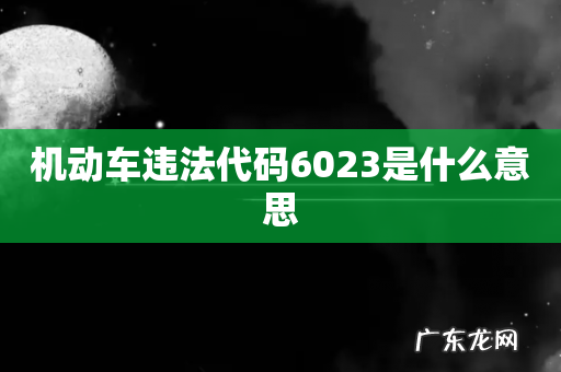 机动车违法代码6023是什么意思