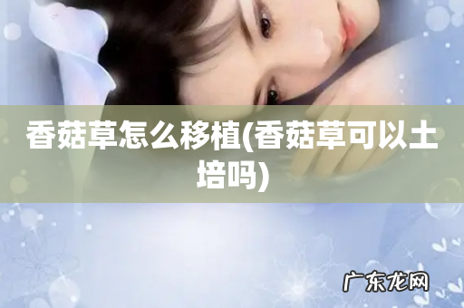 香菇草可以土培吗 香菇草怎么移植