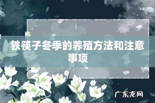 铁筷子冬季的养殖方法和注意事项