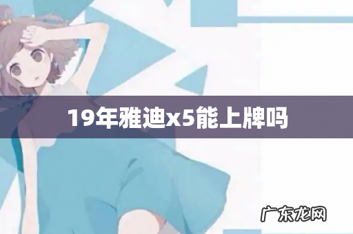 19年雅迪x5能上牌吗