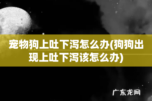 狗狗出现上吐下泻该怎么办 宠物狗上吐下泻怎么办
