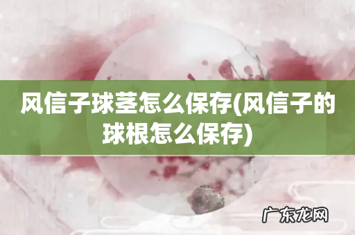 风信子的球根怎么保存 风信子球茎怎么保存