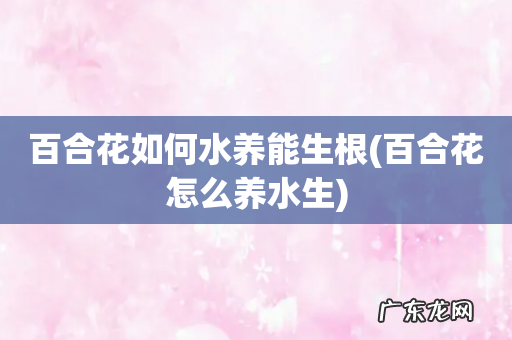 百合花怎么养水生 百合花如何水养能生根