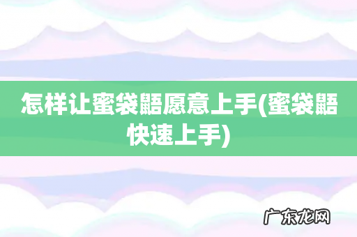 蜜袋鼯快速上手 怎样让蜜袋鼯愿意上手