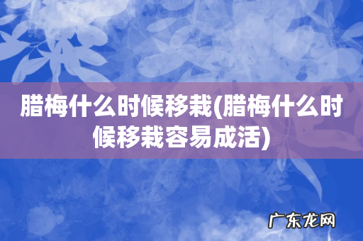 腊梅什么时候移栽容易成活 腊梅什么时候移栽