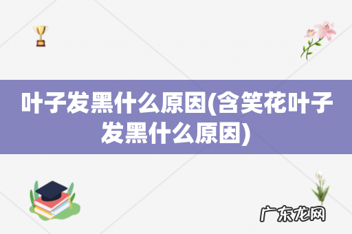 含笑花叶子发黑什么原因 叶子发黑什么原因