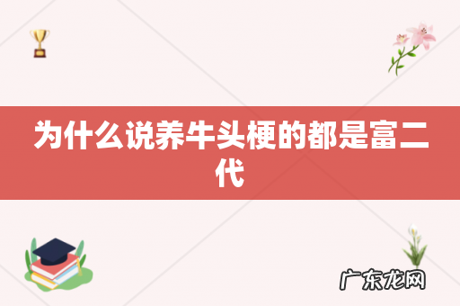为什么说养牛头梗的都是富二代