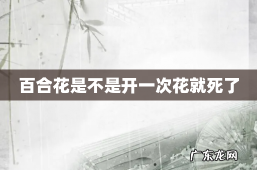 百合花是不是开一次花就死了