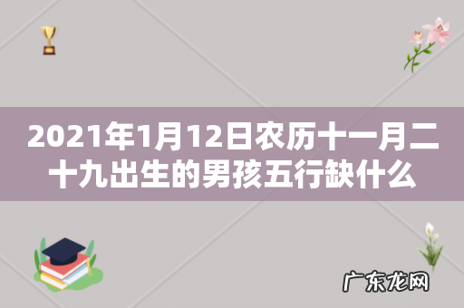 2021年1月12日农历十一月二十九出生的男孩五行缺什么