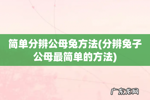 分辨兔子公母最简单的方法 简单分辨公母兔方法