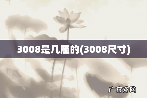 3008尺寸 3008是几座的