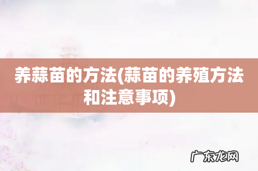 蒜苗的养殖方法和注意事项 养蒜苗的方法