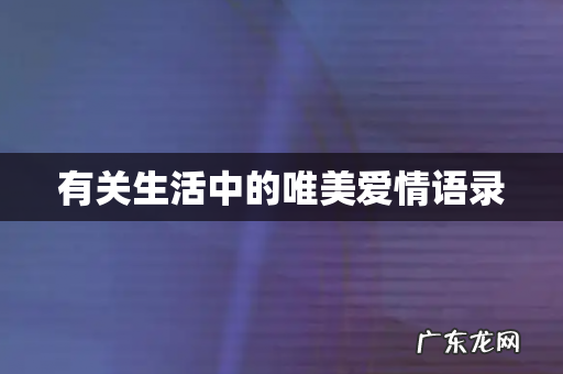 有关生活中的唯美爱情语录