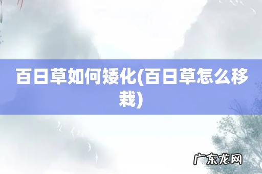 百日草怎么移栽 百日草如何矮化