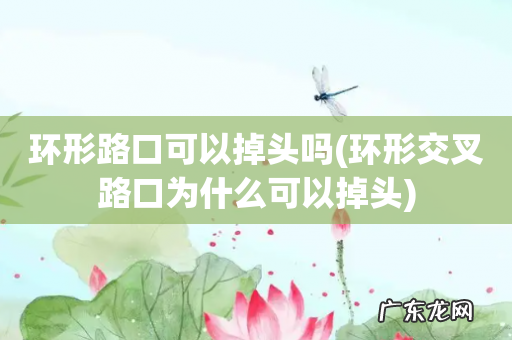 环形交叉路口为什么可以掉头 环形路口可以掉头吗