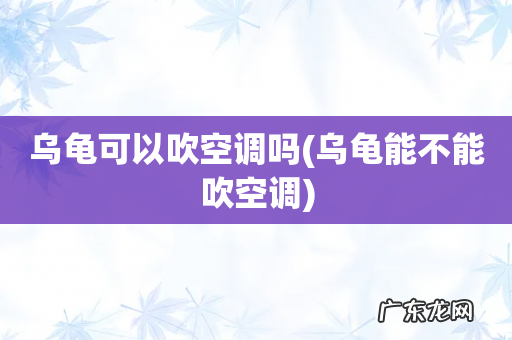 乌龟能不能吹空调 乌龟可以吹空调吗