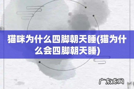 猫为什么会四脚朝天睡 猫咪为什么四脚朝天睡