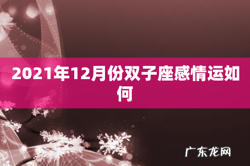 2021年12月份双子座感情运如何