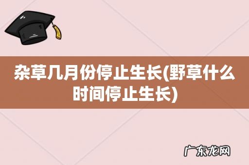 野草什么时间停止生长 杂草几月份停止生长
