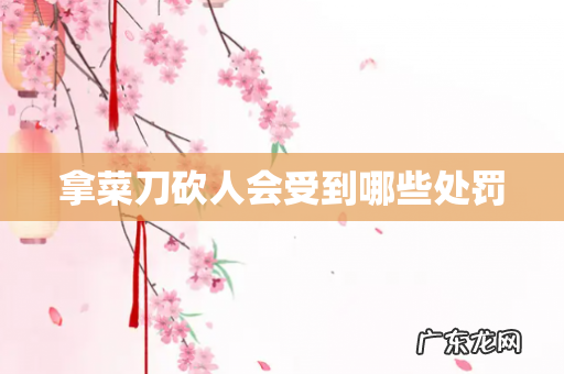 拿菜刀砍人会受到哪些处罚